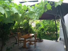  Apartments Cebalo - Ekonomija  Корчула